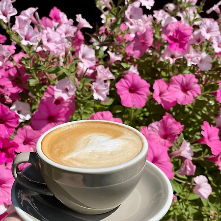 Wellness Mery 3* Poprad